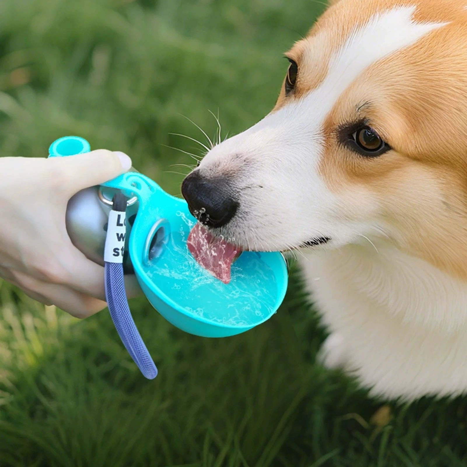 The BoundPaws™ Insulated Travel Flask